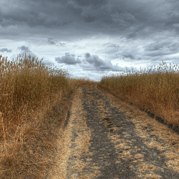 Toby ByronProfile picture